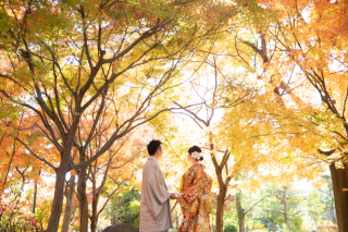 紅葉ロケーションの受付開始!