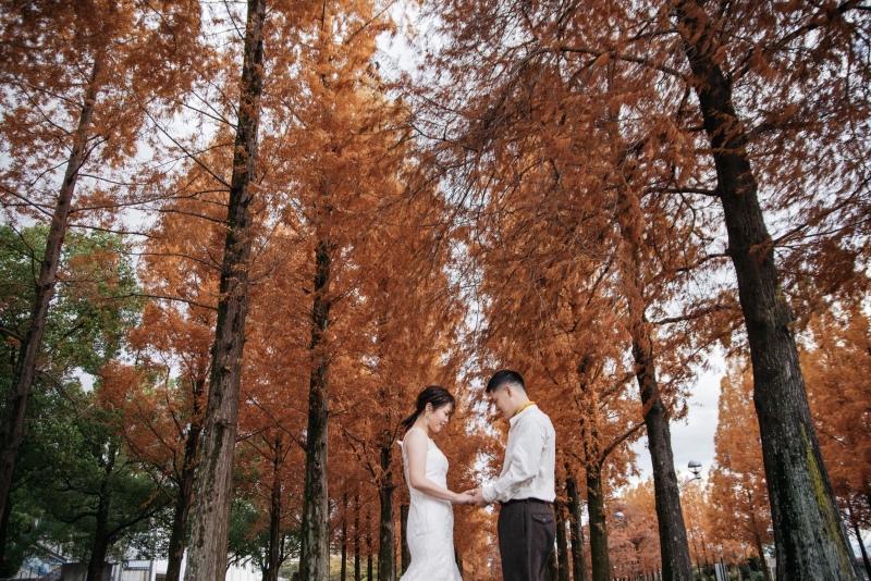 紅葉シーズンの撮影はいかがですか？