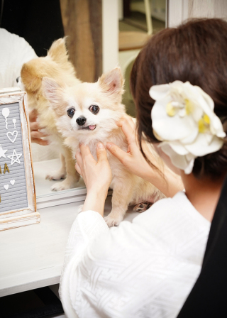 ペットと一緒のフォトウェディング