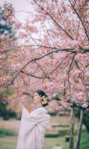 桜ロケーションフォトのご予約・ご相談始まっています！！