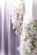 豊富なスタジオシーン