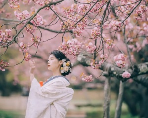 春撮影をお考えのお二人へ