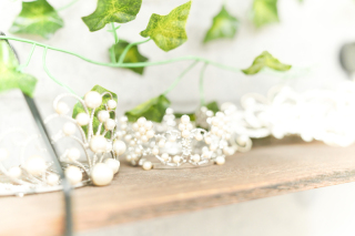 ネックレス&ティアラのご紹介