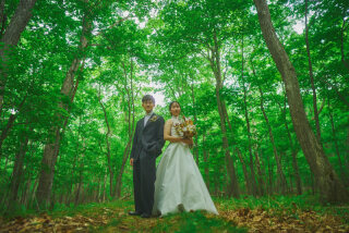 新緑のトンネル