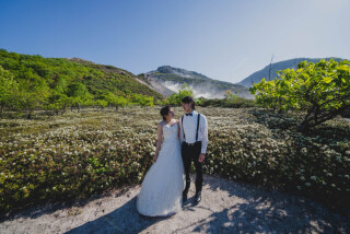 6月にしか咲かない白い花