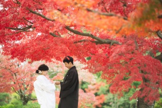 魅力的なロケーション