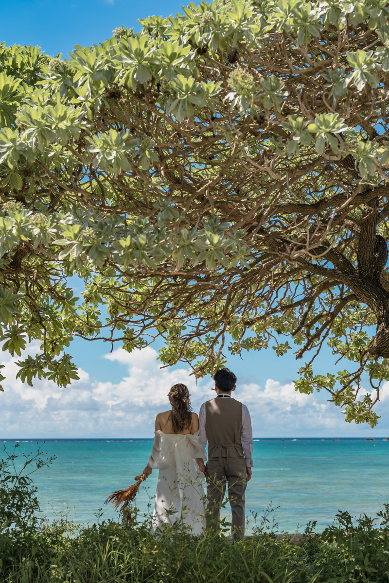 フォト200でムービーも撮れて¥200,000以下！