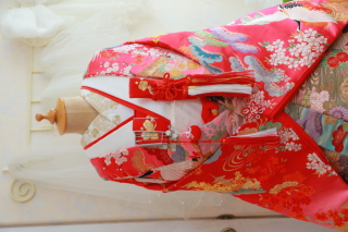 色打掛ご紹介♡