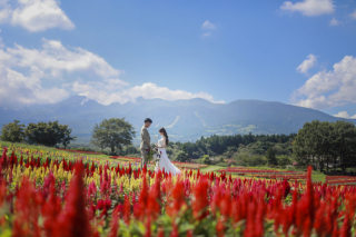 アンシャンテ那須の代名詞「花畑フォト」＠那須フラワーワールド×那須連山