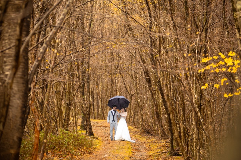 旅と写真で祝う結婚式