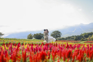 アンシャンテ那須の代名詞「花畑フォト」＠那須フラワーワールド