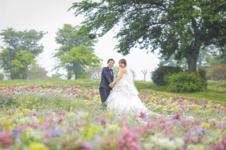 春のお花は柔らかい色合いのものが多いのも魅力です！