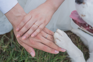 お手元写真アイデア☆