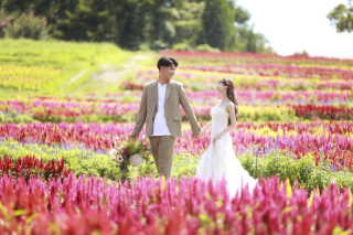 想像以上の結婚写真と感動を アンシャンテ那須