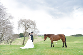 桜の丘で出会う、馬と2人の物語