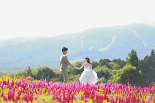 本年もありがとうございました！来年も人生のお守りになる一枚をお届けします！