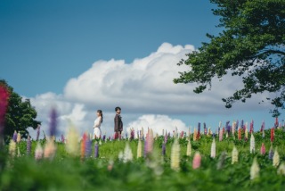 最美の夏にフォトウェディング・結婚式前撮りを