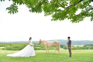 絵になる景色♡馬も一緒にロケーションフォト♪