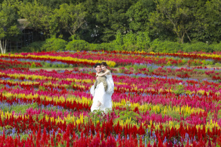 今だけ！那須の超絶景で一生モノの1枚を！