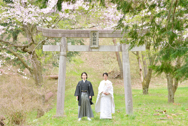 桜と白無垢の奥ゆかしさ