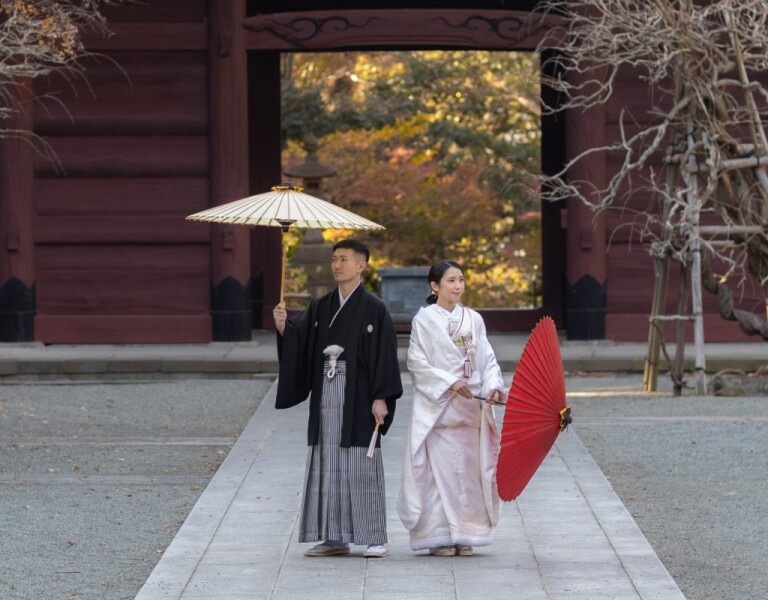 早急にお問い合わせ必須！2月迄の限定プラン！