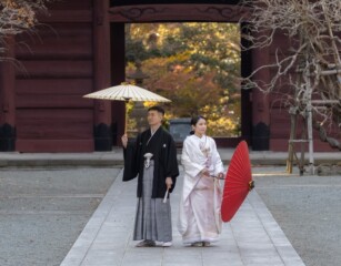 春にしかできない期間限定の特別プラン