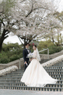 山下公園にて桜との撮影を行いました♡