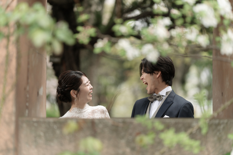 公園フォトのご紹介