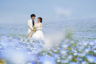 残り20枠!*2025ネモフィラロケーションフォト予約受付中*