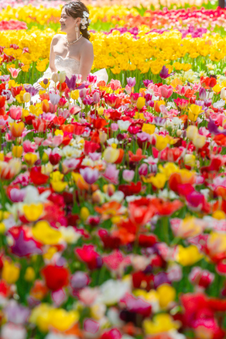 【洋装】ロケーション撮影