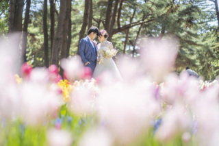 【チューリップ】洋装ロケーション