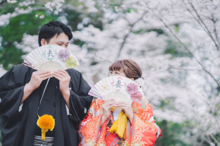 【桜】和装ロケーション