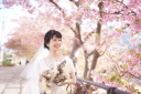 フォトウェディング！2025婚の前撮り！に最もお得で美しい冬フォト　2月は河津桜