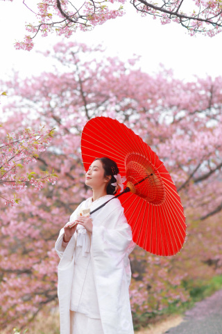 河津桜と菜の花☆絶賛予約受付中!