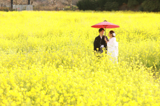 和装と菜の花のウエディング