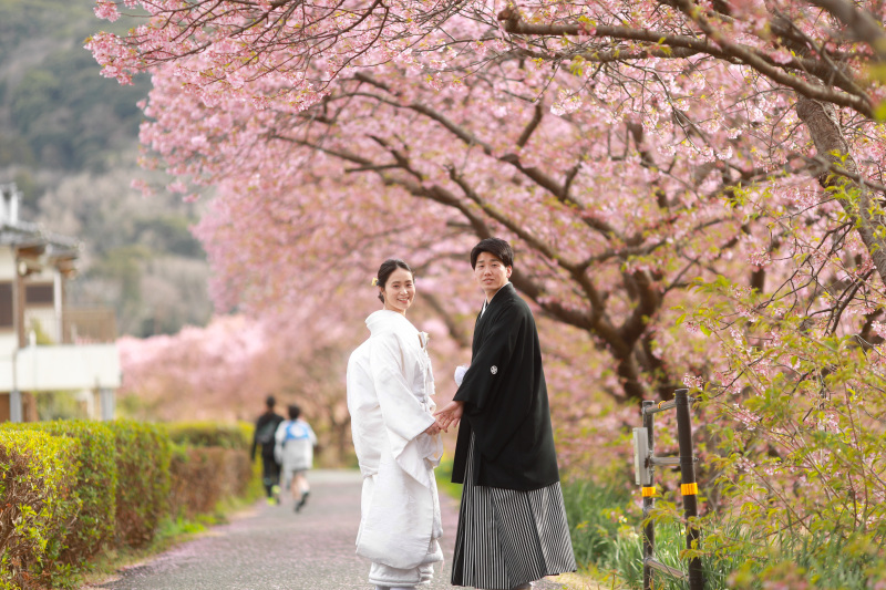 ★河津桜★先行予約受付中！