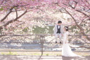 フォトウェディング！2025婚の前撮り！に最もお得で美しい冬フォト 2月は河津桜