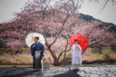 河津桜で叶える春待ちフォトウェディング♪ベストシーズンは2月!