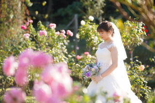 【薔薇】ロケーションフォト