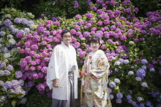 【紫陽花】ロケーションフォト