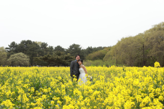 春の国営ひたち海浜公園