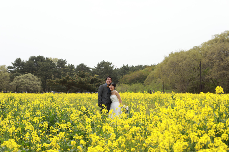 春の国営ひたち海浜公園
