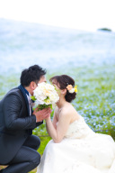 春のネモフィラ撮影