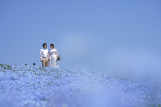 ネモフィラ絶景撮影★ラスト受付