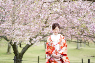 桜の撮影まだまだ受付できます！