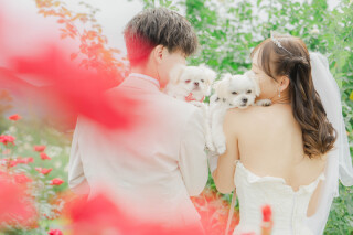 ~いばらきフラワーパーク~愛犬と過ごすしあわせフォトウェディング