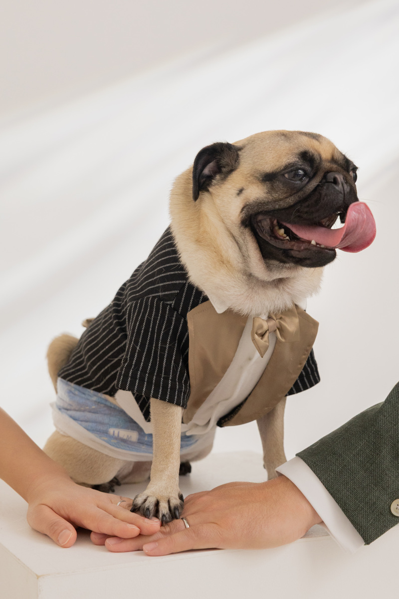 【スタジオAQUA】愛するワンちゃんと一緒に♪