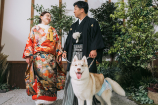 【和装×犬】和装洋装スタジオ撮影!