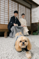 【スタジオAQUA】わんちゃんと一緒に和装撮影♪