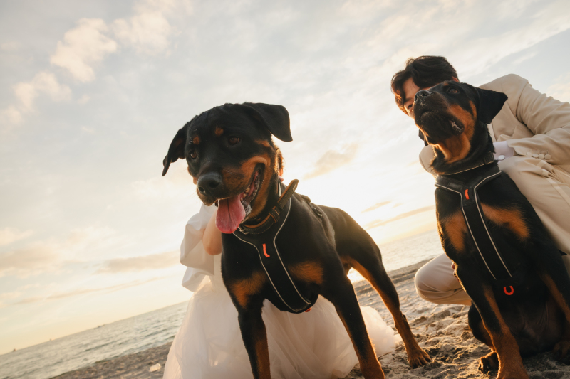 【スタジオAQUA】愛犬たちと